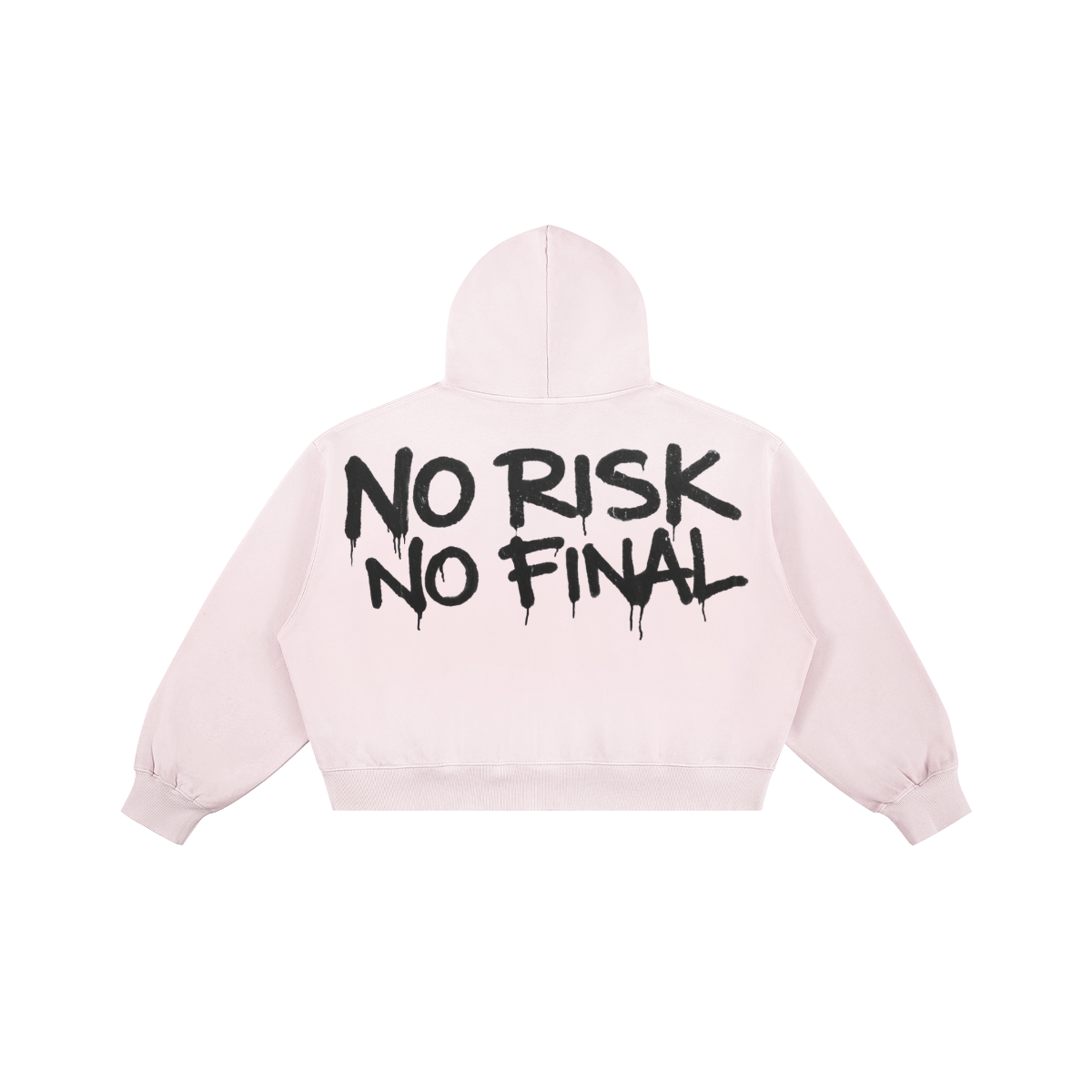 NO RISK-NO FINAL HOODIE